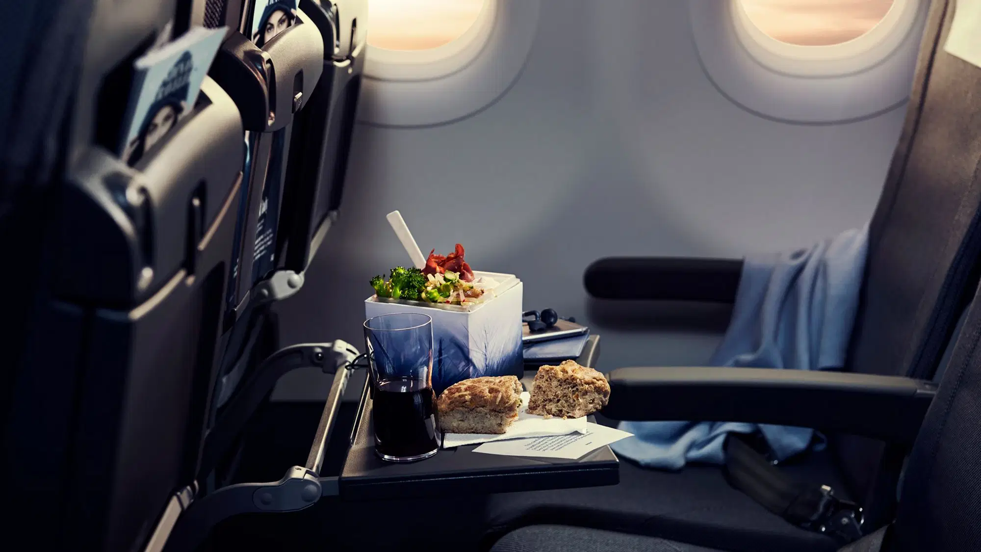 SAS-NewNordic-body-1