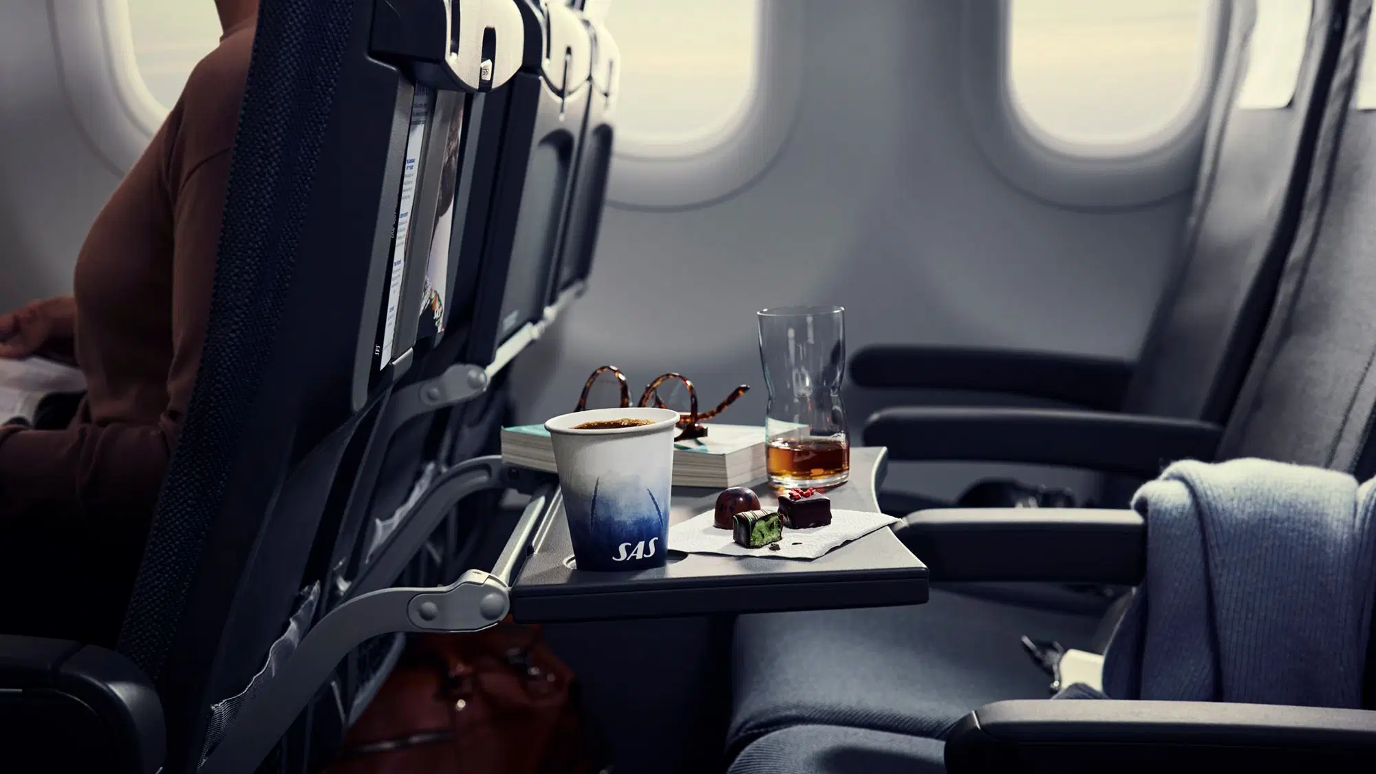 SAS-NewNordic-body-2