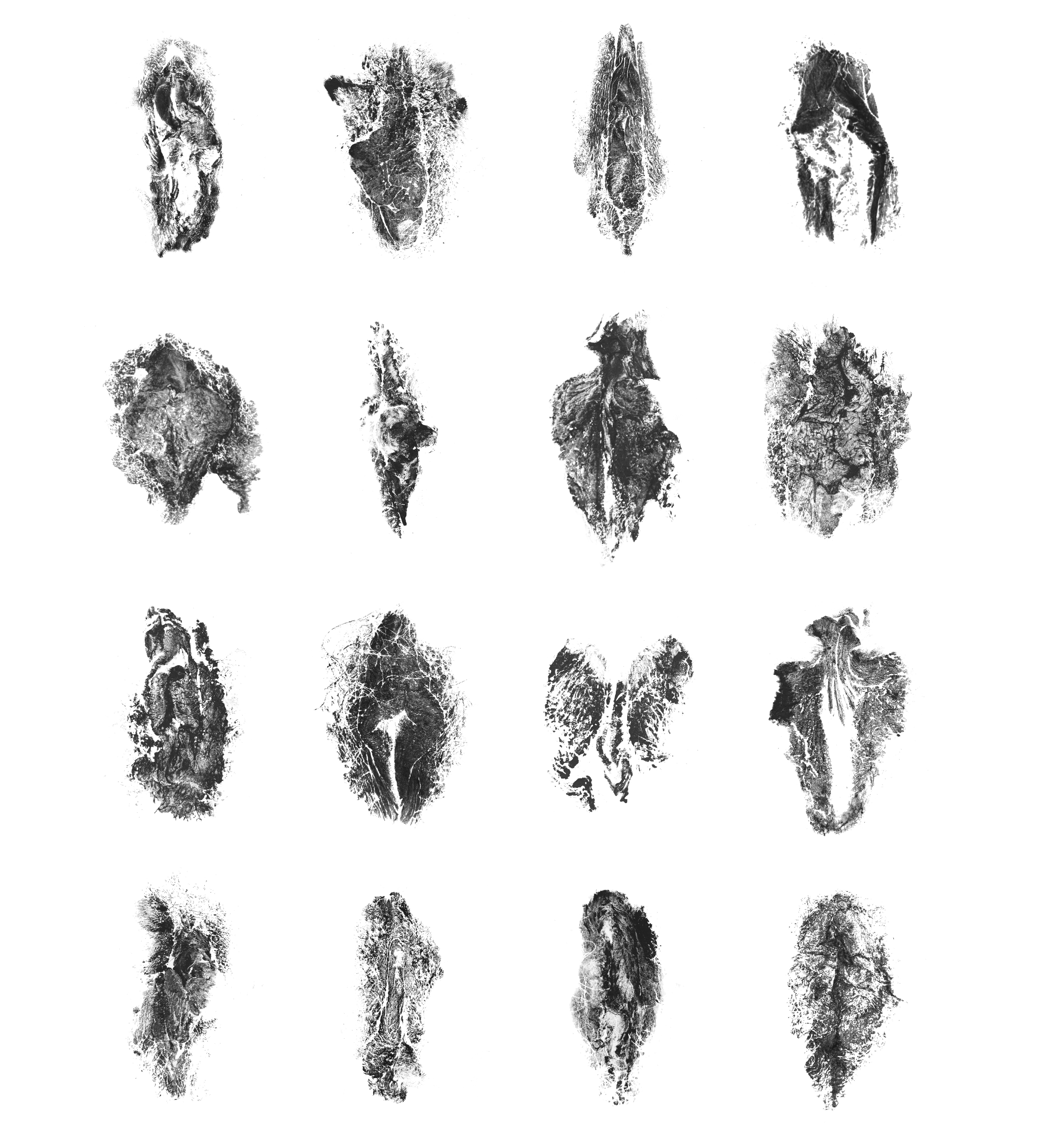 kvinders-aftryk-grafik